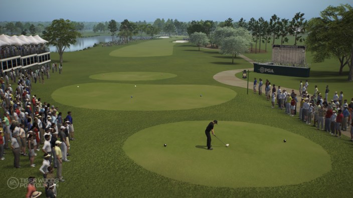 Tiger Woods-14-sale-console