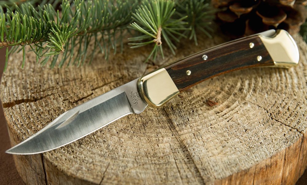 Buck Knives 110 Famous Folding Hunter Knife with Genuine Leather Sheath-1