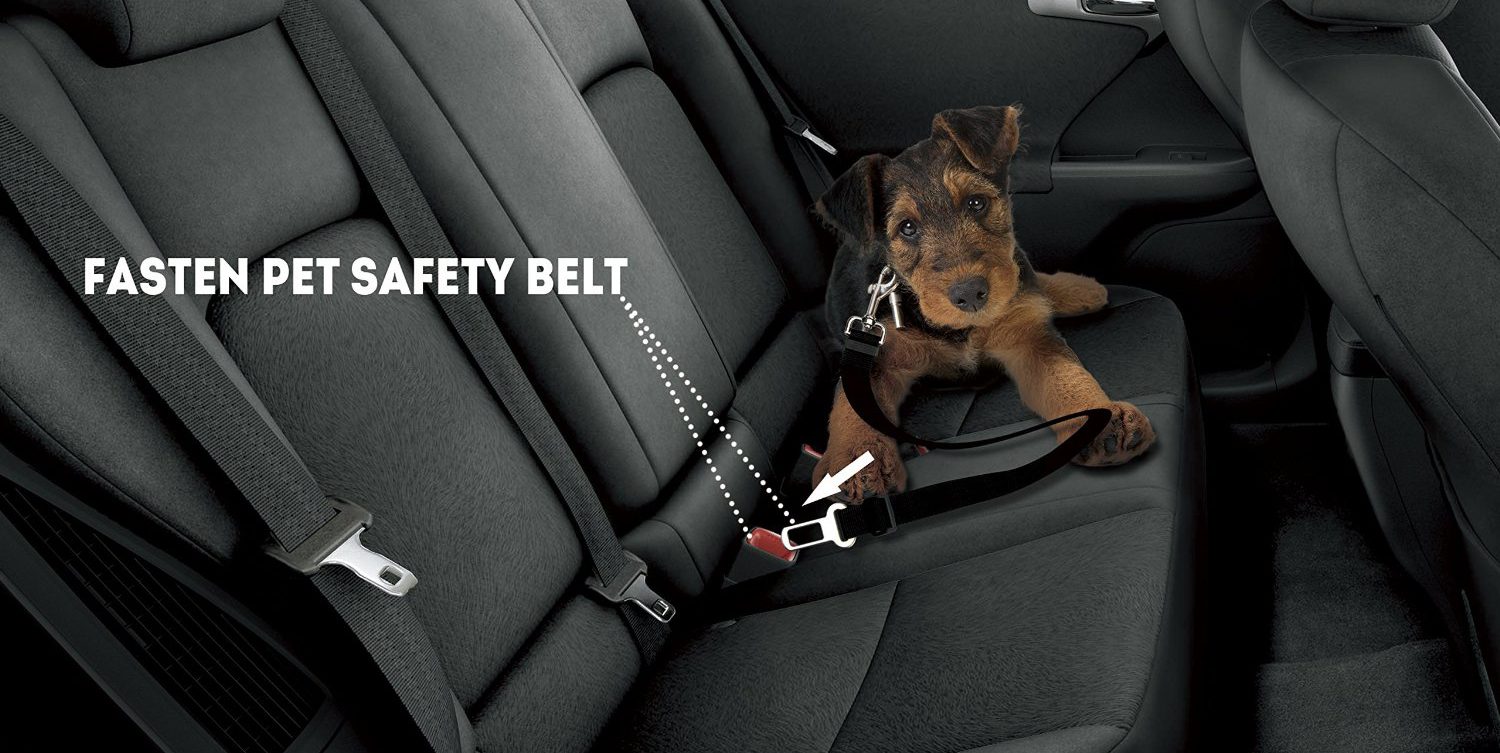 etekcity pet dog nylon car seat
