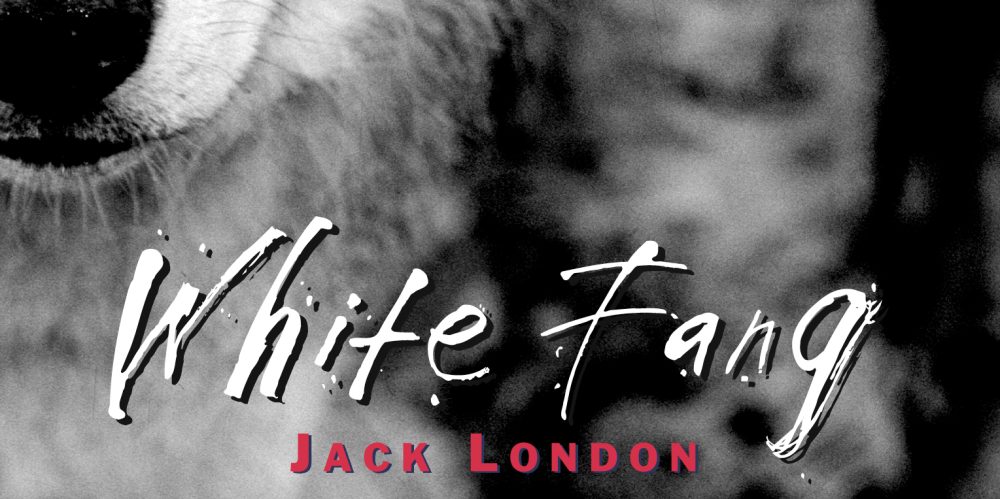white-fang-jack-london