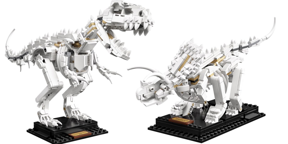 LEGO Ideas Dinosaur Fossils 
