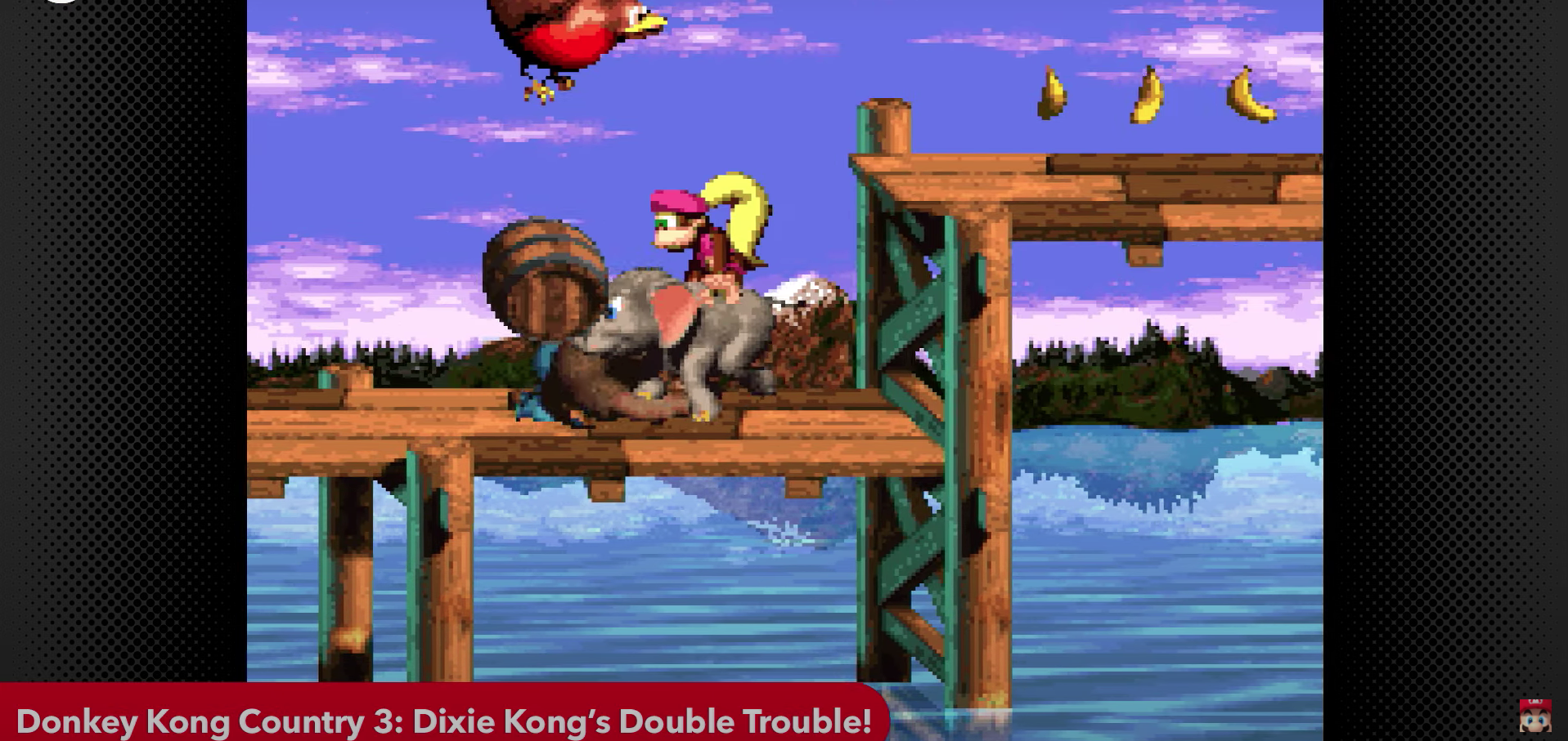 Donkey Kong Country 3 comes to Switch Online