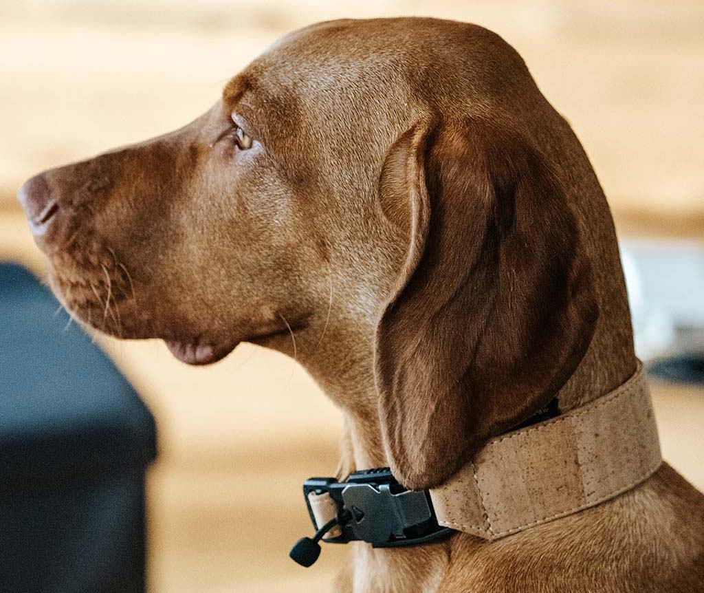 FollowPaw AirTag dog collar new