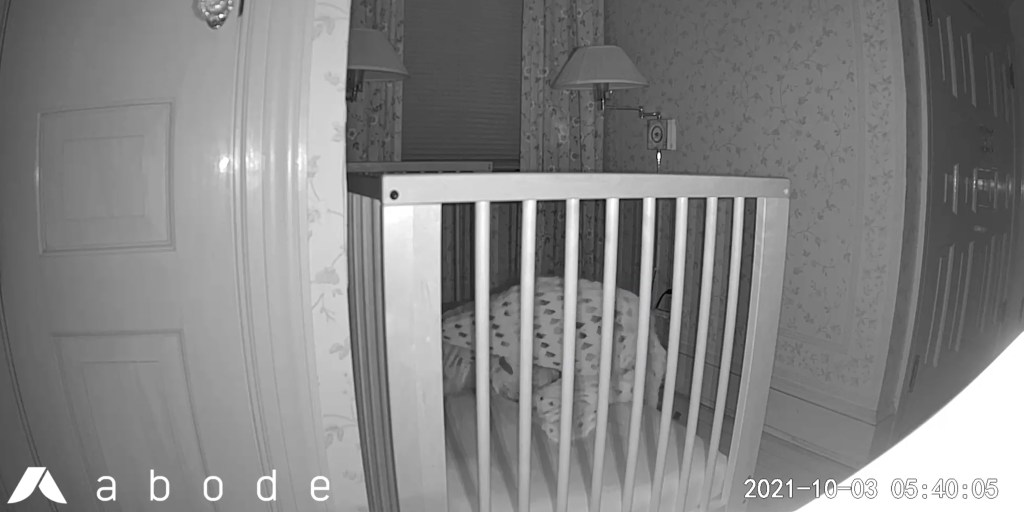 Night vision mode from the Abode Cam 2.