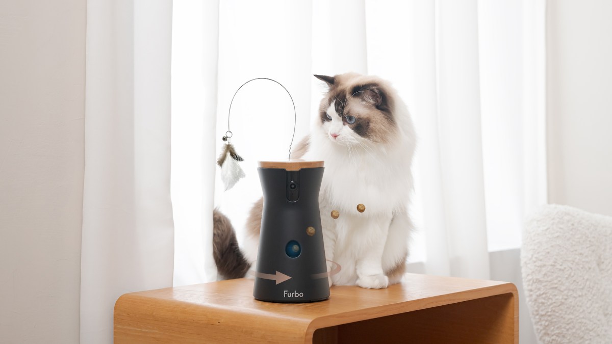 Furbo smart cat camera